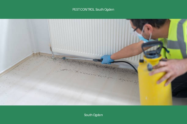 PEST CONTROL South Ogden